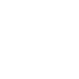 neowise