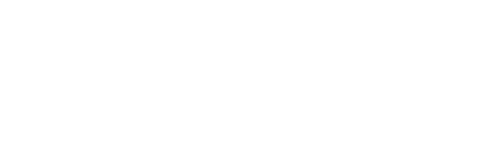 Springster_2017