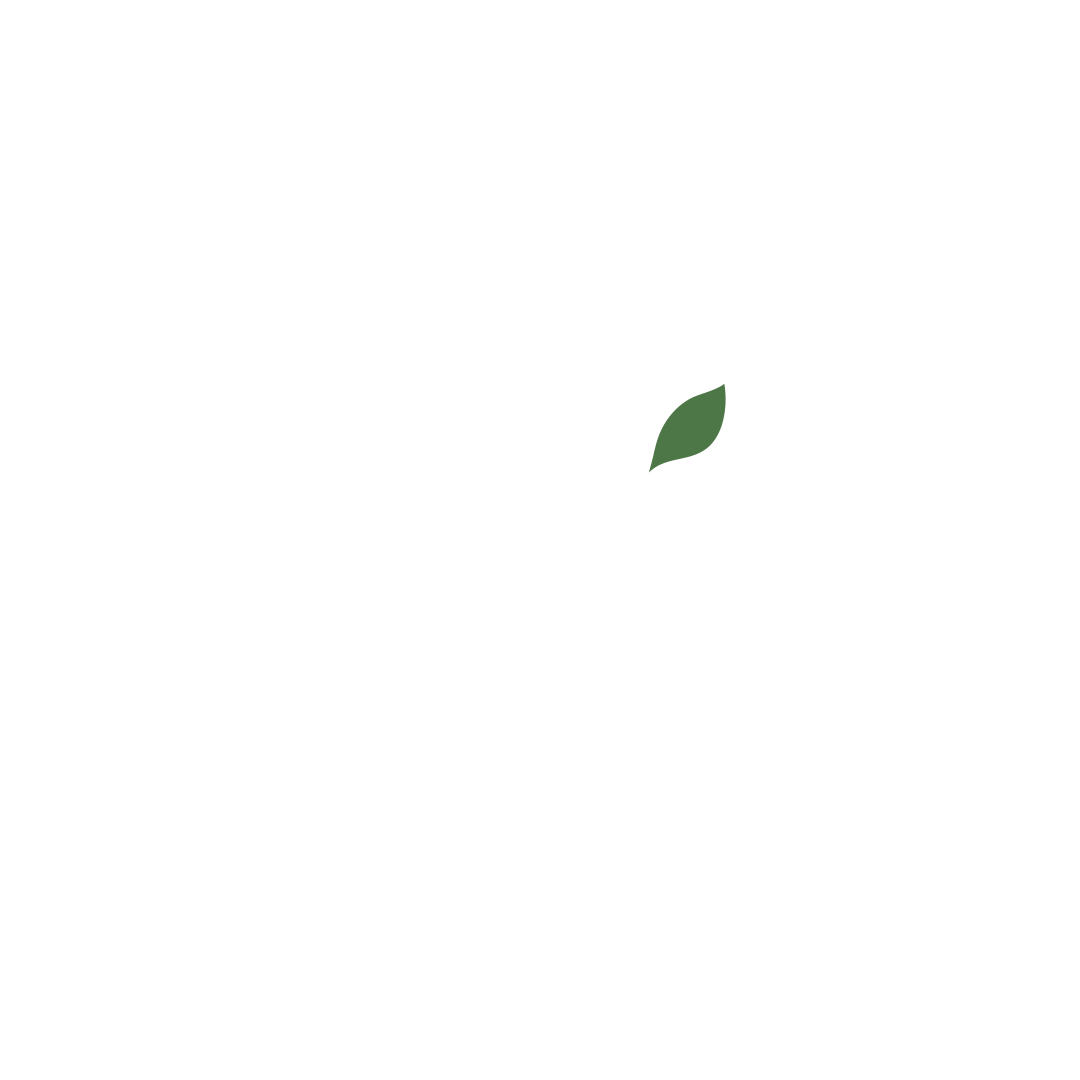 WELLBEING NUTRITION white