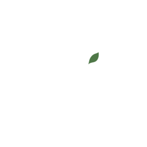 Wellbeing Nutrition